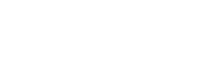 BVIX Seguradora
